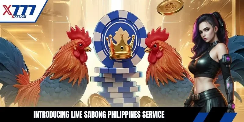 Introducing live sabong Philippines service