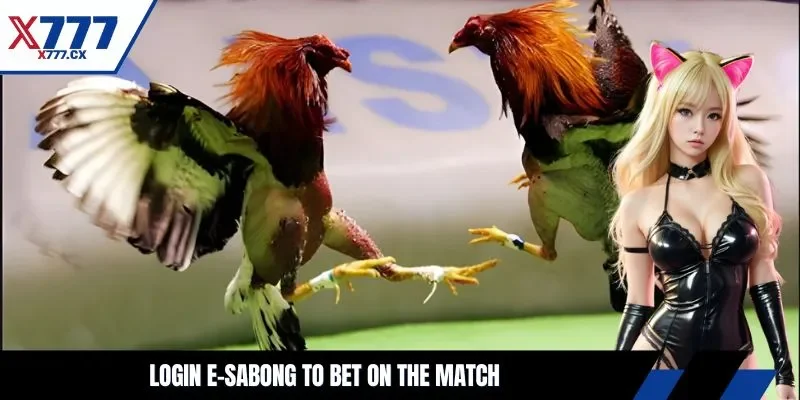 E-sabong login to bet on the match
