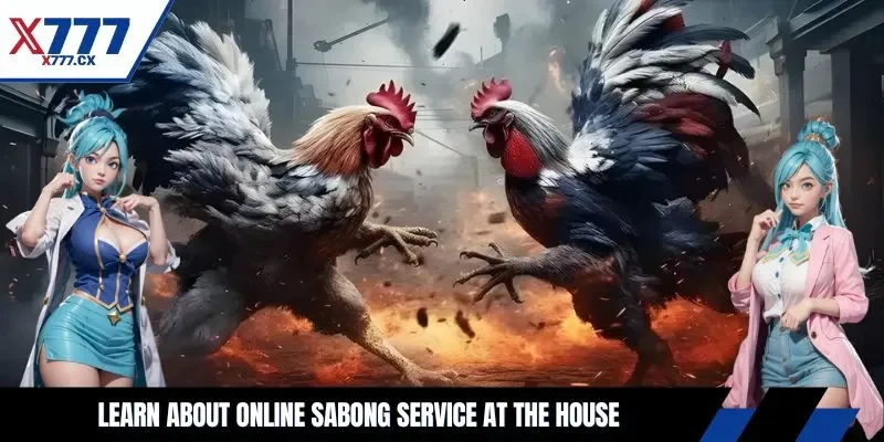 Learn about online sabong service at the house
