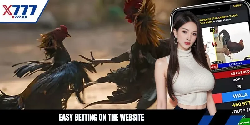 Easy betting on the website